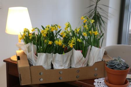 Prostovoljke RK Ravne in Kotlje ob Dnevu žena obiskale domove starejših